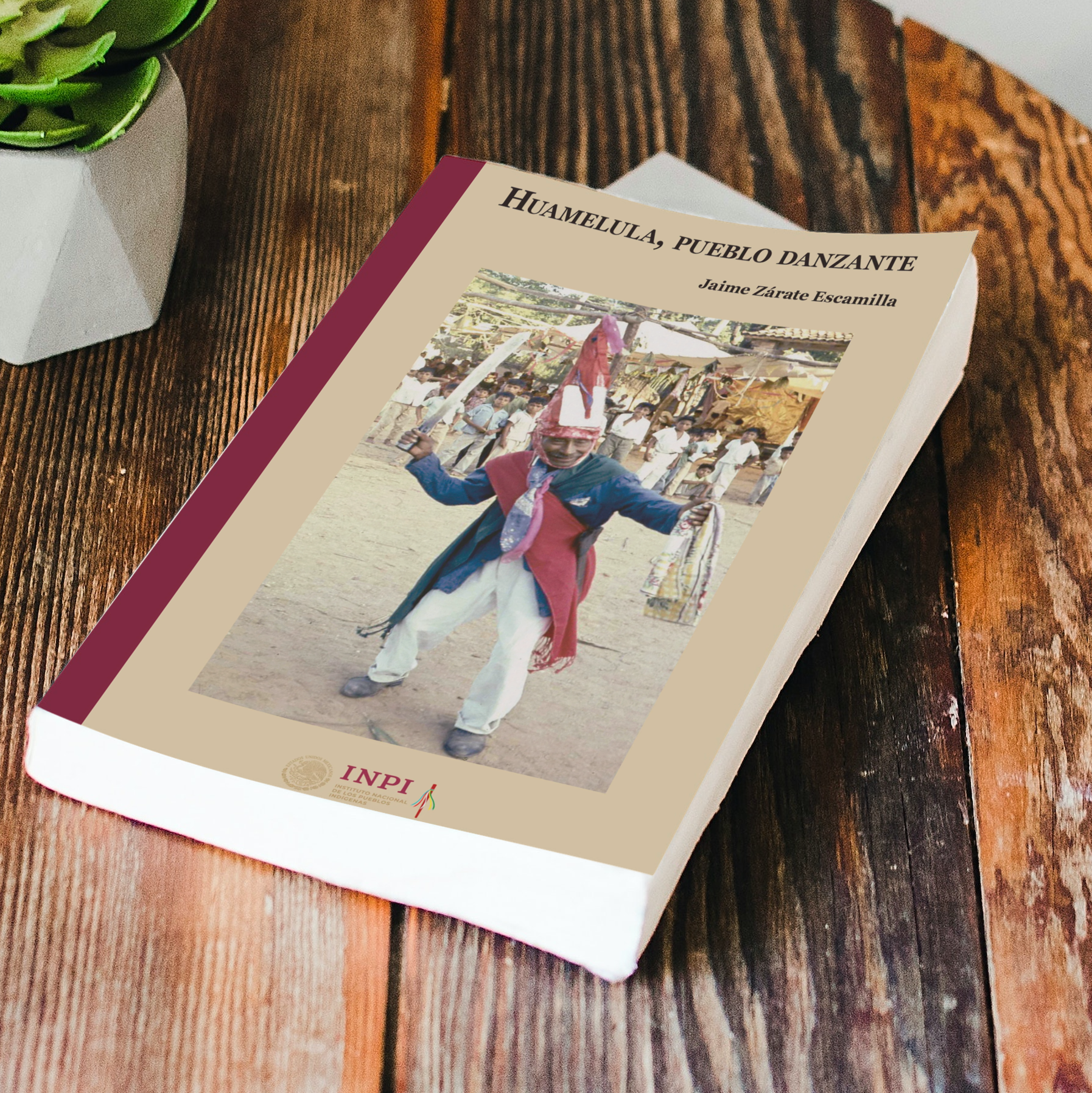 Portrait softcover book on the wooden table with a succulent plant_Portada Huamelula, pueblo danzante. alta